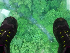 in the gondola