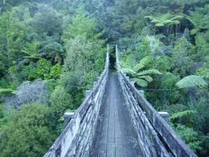 Bridge in the Hunua ranges