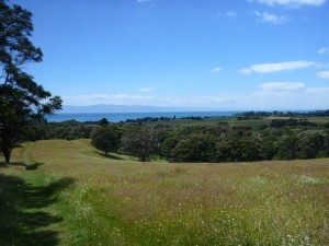 Hunua ranges, west coast