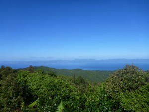 Hunua ranges, west coast